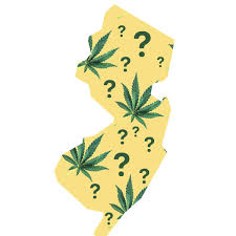 New Jersey Appellate Division Opens the Door for Employees to Sue Over Cannabis Discrimination under CREAMMA